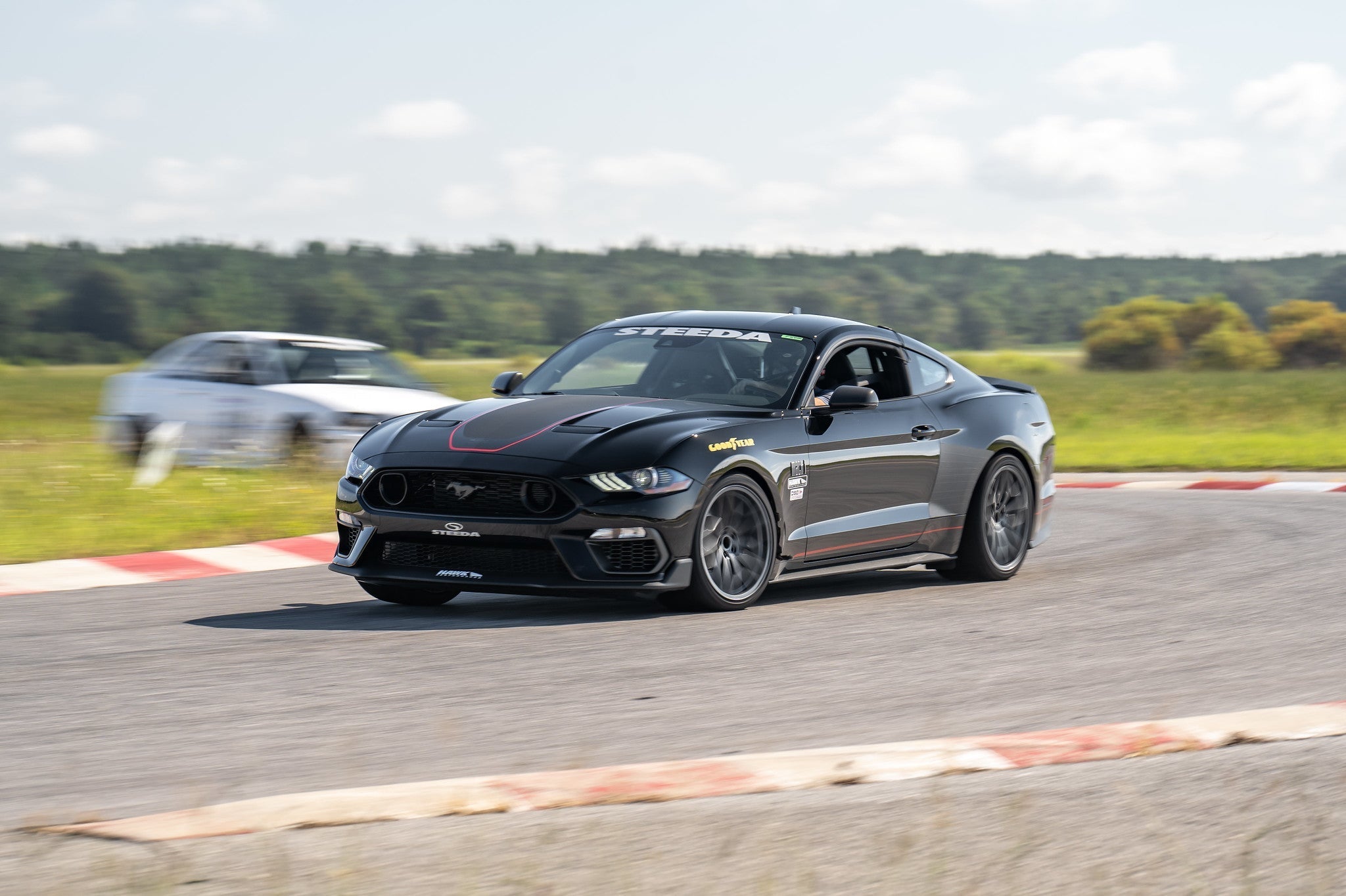 Steeda Mustang MagneRide Ultimate Handling Dual Rate Lowering Springs (2015-2024+)