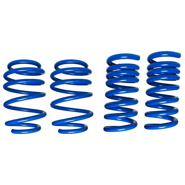 Steeda Mustang MagneRide Ultimate Handling Dual Rate Lowering Springs (2015-2024+)