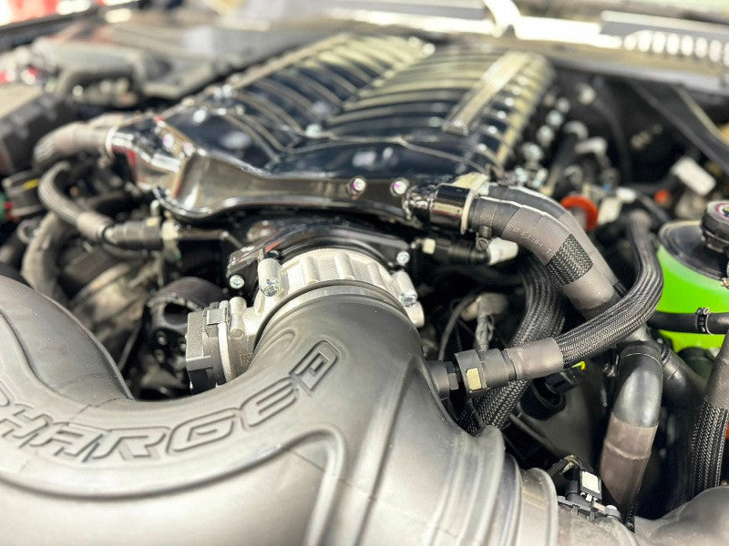 Whipple S650 Mustang GT / Dark Horse Supercharger System (2024+)