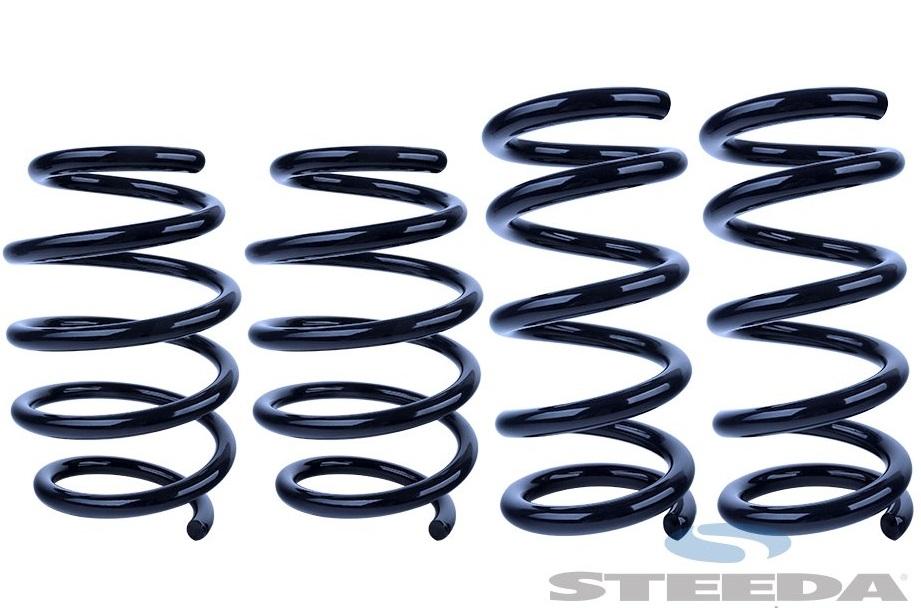 Steeda S550 Mustang GT Linear Springs